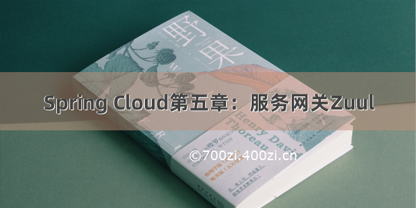 Spring Cloud第五章：服务网关Zuul