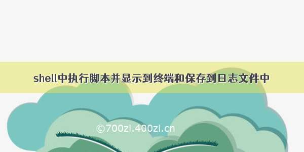 shell中执行脚本并显示到终端和保存到日志文件中