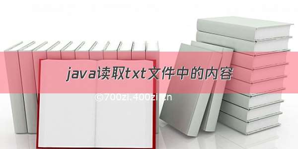 java读取txt文件中的内容