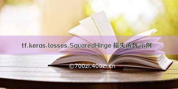 tf.keras.losses.SquaredHinge 损失函数 示例