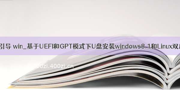 linux uefo引导 win_基于UEFI和GPT模式下U盘安装windows8.1和Linux双启动教程