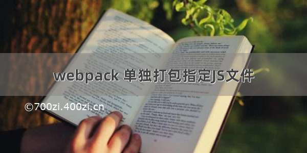 webpack 单独打包指定JS文件