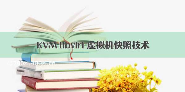 KVM libvirt 虚拟机快照技术