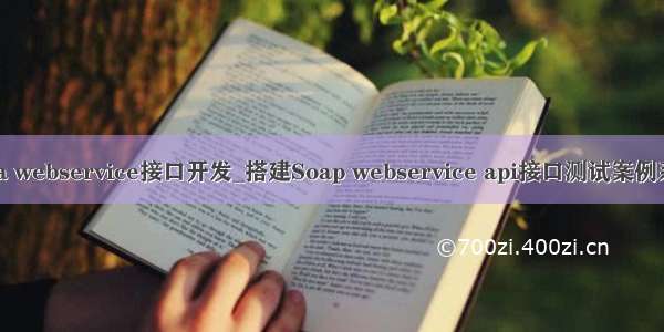 java webservice接口开发_搭建Soap webservice api接口测试案例系统