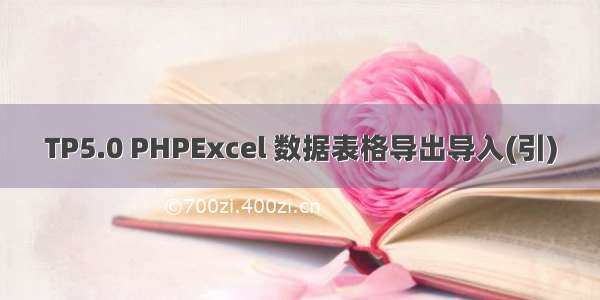 TP5.0 PHPExcel 数据表格导出导入(引)