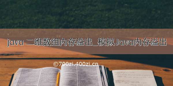 java 二维数组内存溢出_模拟Java内存溢出