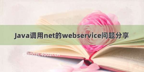 Java调用net的webservice问题分享