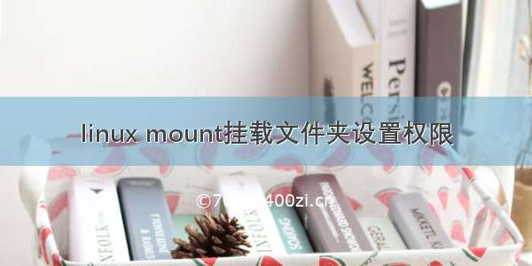 linux mount挂载文件夹设置权限