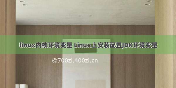 linux内核环境变量 Linux上安装配置JDK环境变量