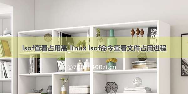 lsof查看占用高_linux lsof命令查看文件占用进程