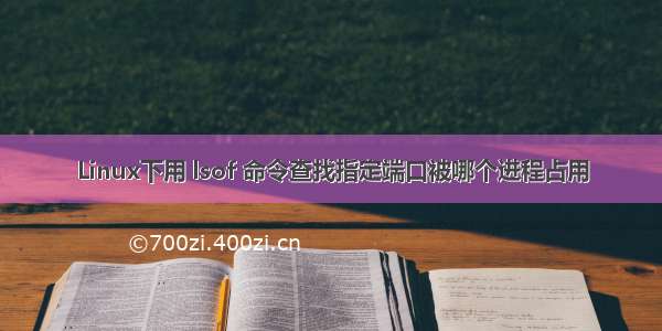 Linux下用 lsof 命令查找指定端口被哪个进程占用