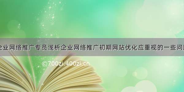 企业网络推广专员浅析企业网络推广初期网站优化应重视的一些问题