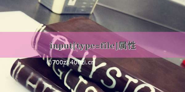 input[type=file]属性