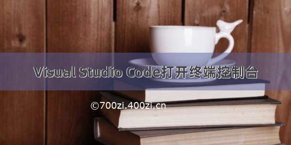 Visual Studio Code打开终端控制台