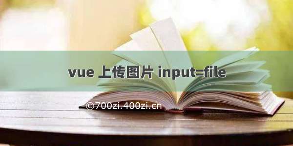 vue 上传图片 input=file