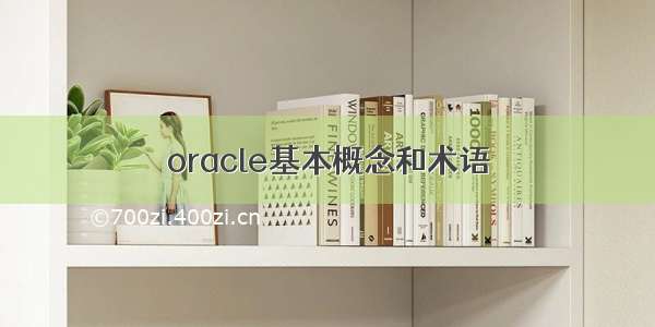 oracle基本概念和术语