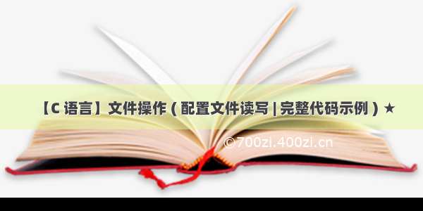 【C 语言】文件操作 ( 配置文件读写 | 完整代码示例 ) ★