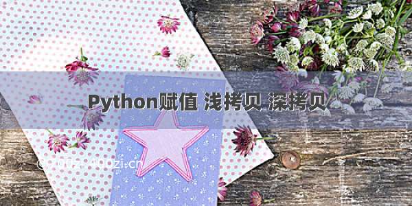 Python赋值 浅拷贝 深拷贝