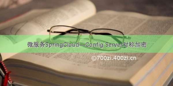 微服务SpringCloud—Config Server对称加密