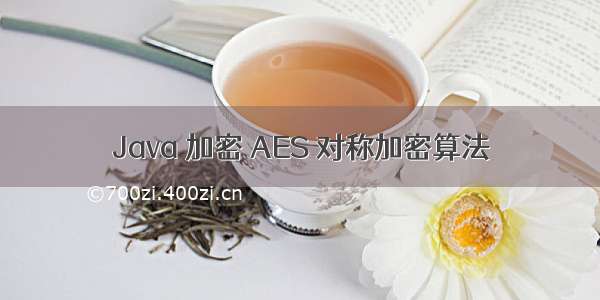 Java 加密 AES 对称加密算法