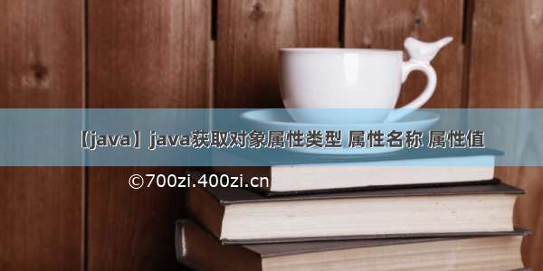 【java】java获取对象属性类型 属性名称 属性值