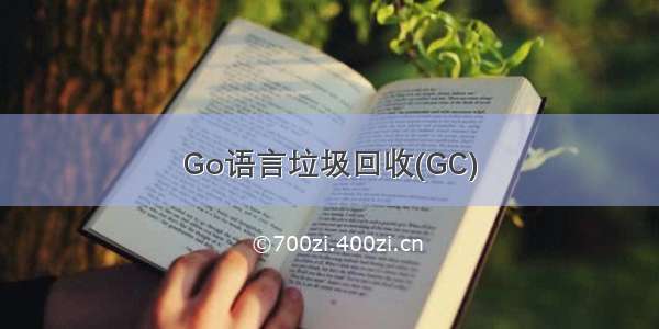 Go语言垃圾回收(GC)