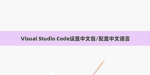 Visual Studio Code设置中文包/配置中文语言