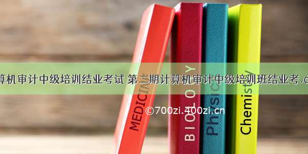 计算机审计中级培训结业考试 第二期计算机审计中级培训班结业考.doc