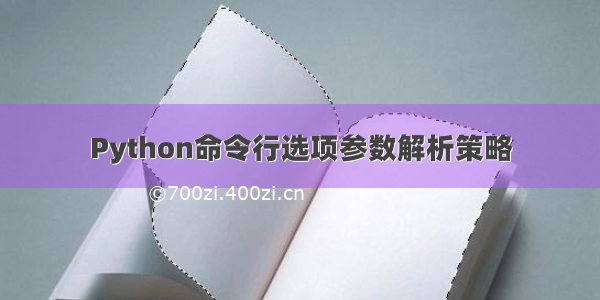 Python命令行选项参数解析策略