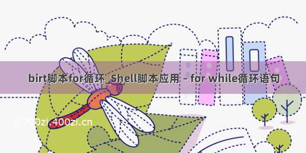 birt脚本for循环_Shell脚本应用 – for while循环语句