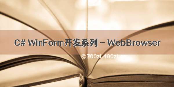 C# WinForm开发系列 - WebBrowser