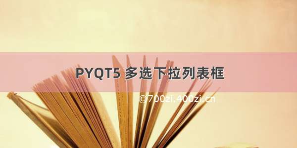 PYQT5 多选下拉列表框