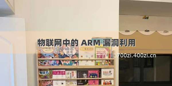 物联网中的 ARM 漏洞利用