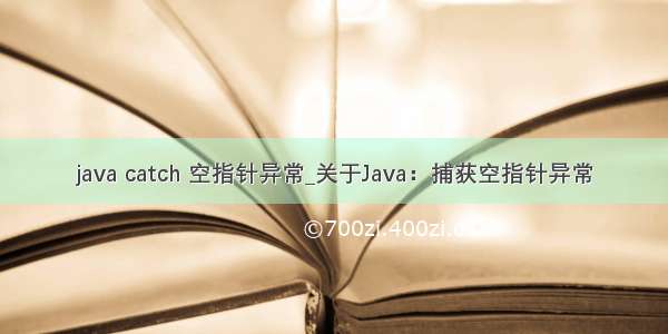 java catch 空指针异常_关于Java：捕获空指针异常