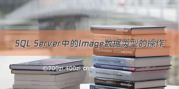 SQL Server中的Image数据类型的操作