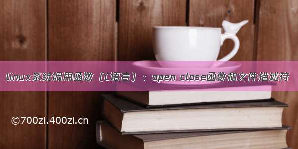 linux系统调用函数（C语言）：open close函数和文件描述符