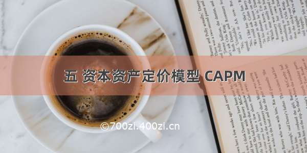 五 资本资产定价模型 CAPM