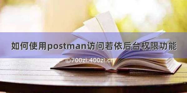 如何使用postman访问若依后台权限功能