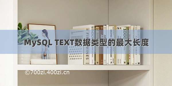 MySQL TEXT数据类型的最大长度