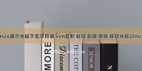 linux提示光标下无字符串 vim复制 粘贴 删除 撤销 移动光标(linux)