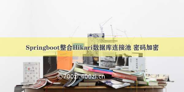 Springboot整合Hikari数据库连接池 密码加密