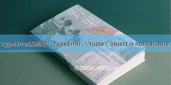 TypeError系列之：TypeError: \'tuple\' object is not callable.
