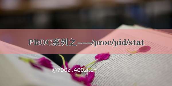 PROC系列之---/proc/pid/stat