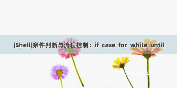 [Shell]条件判断与流程控制：if  case  for  while  until