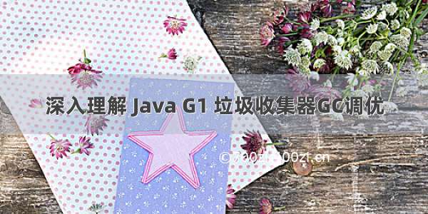 深入理解 Java G1 垃圾收集器GC调优