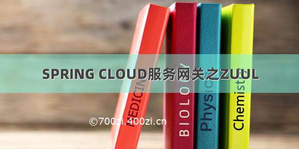 SPRING CLOUD服务网关之ZUUL