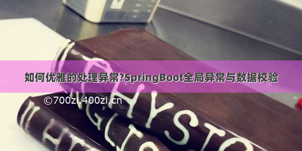 如何优雅的处理异常?SpringBoot全局异常与数据校验