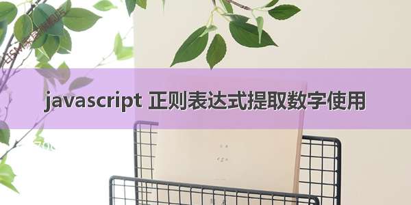 javascript 正则表达式提取数字使用