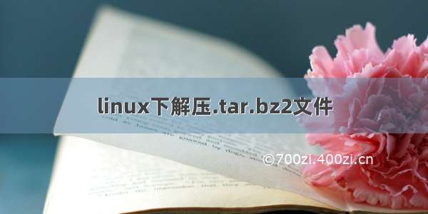 linux下解压.tar.bz2文件