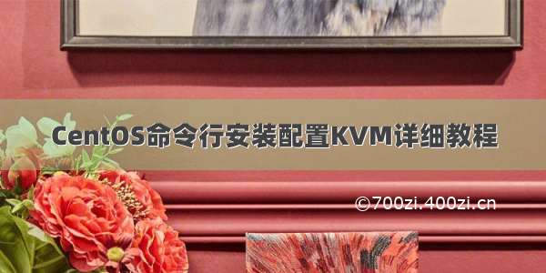 CentOS命令行安装配置KVM详细教程